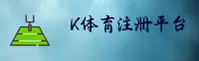 k体育官方网站